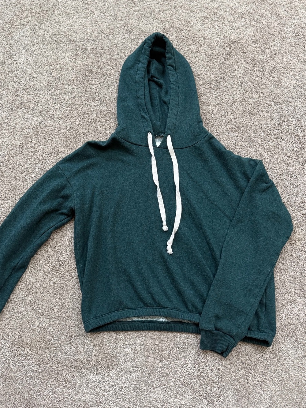 American Eagle Outfitters Dark Teal Hooded Pullover Sweatshirt
